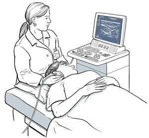 Technician holding ultrasound probe to patient's neck.